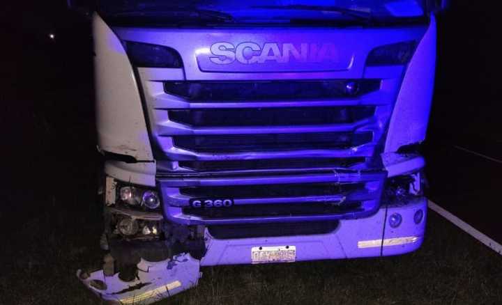 Camión chocó contra vacunos sueltos en la ruta 35