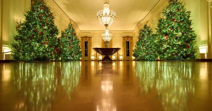 Photos: Melania Trump reveals 2025 White House holiday decorations