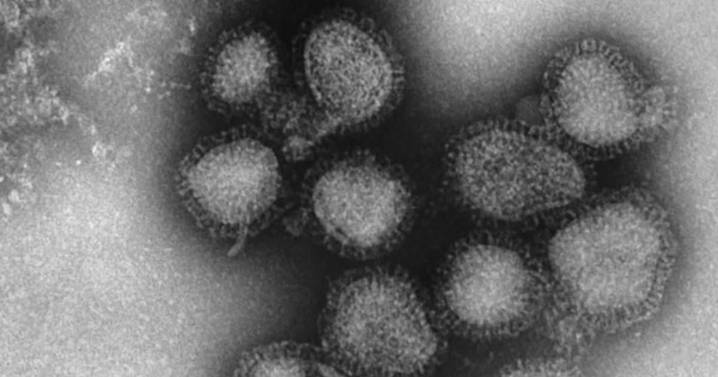 Holiday flu season underway with rise in symptoms, doctor's visits