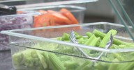 Anonymous donor clears $5,000 school meal debt for Monona Grove families