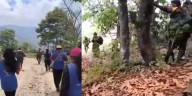 Video: indígenas expulsaron a presuntos miembros del frente Dagoberto Ramos de las disidencias de las Farc en Caldono, Cauca