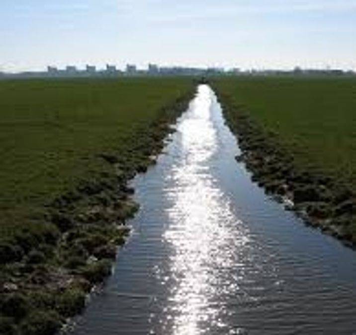 Odisha shocker: Woman hangs toddler daughter from tree, throws her into ditch before fleeing