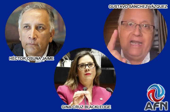 ¿Quién sería mejor candidato del PAN para la gubernatura?