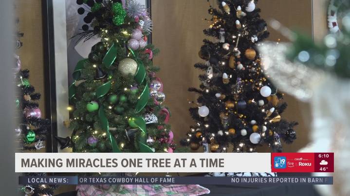 Festival of Trees at Christus Mother Frances Hospital supports vital programs