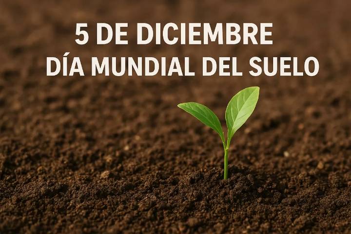 5 de diciembre: el mundo alza la voz por la salud del suelo ante creciente degradación global