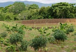 ANT entrega a campesinos predio que fue “ocupado irregularmente” por sociedad del expresidente Uribe