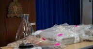 Multi-agency effort led to seizure of large amounts of fentanyl, other drugs: RCMP