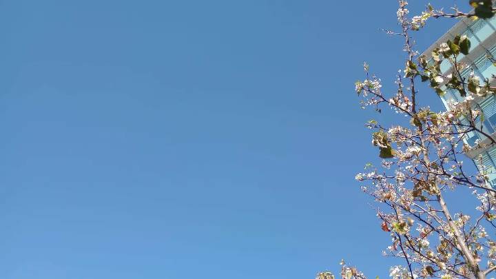 Pronostican cielo despejado para este lunes