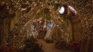 Dreamwalk Park unveils otherworldly Christmas experience 