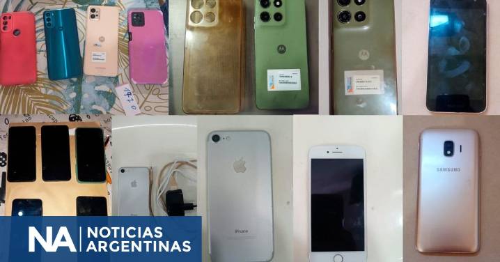 Detuvieron a mecheros y punguistas que robaban celulares en Ciudad y provincia