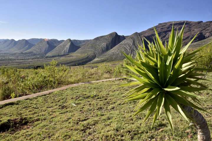 Where scientists found thousands of dino tracks