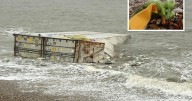 Crates of bananas wash ashore after falling from cargo ship near Isle of Wight 
