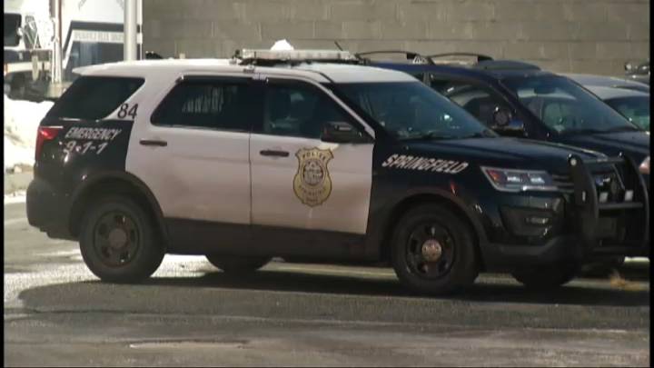 Pedestrian killed in Springfield hit