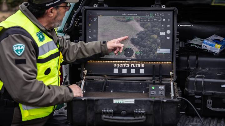 Se amplía a 1.000 efectivos el dispositivo para buscar jabalíes en Collserola a la espera del visto bueno de la UE para capturarlos