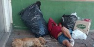 Habitante de calle retiene a perrita para vender a sus crías