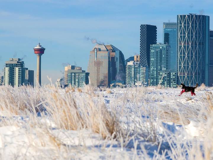 Calgary photographers around town for the November 28