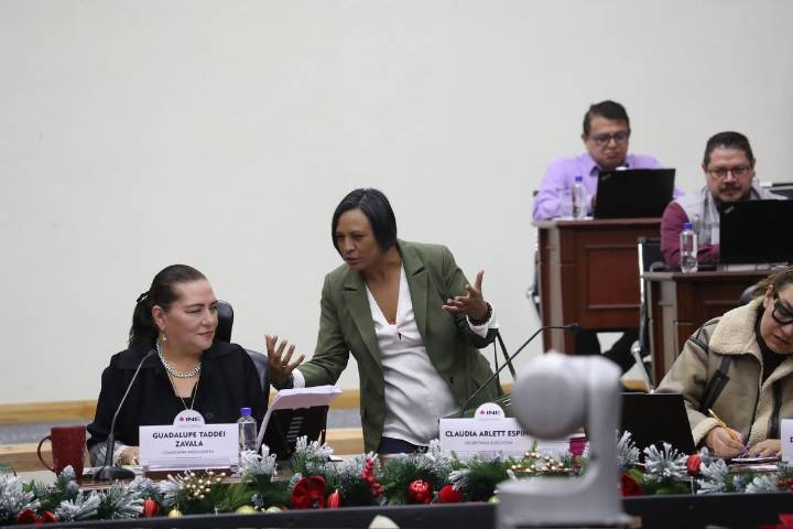 INE aplaza entrega de propuesta de reforma ante falta de consenso interno