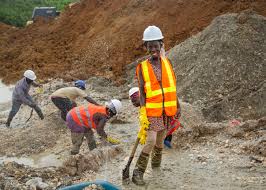Ghana Bans Mining In Forest Reserves To Curb Environmental Damage