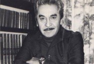 Los frijoles de Anastasia