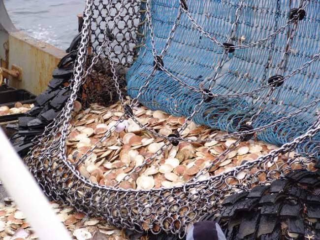 NOAA reopens comments on fisheries overhaul that could reshape rules for New Bedford fleet