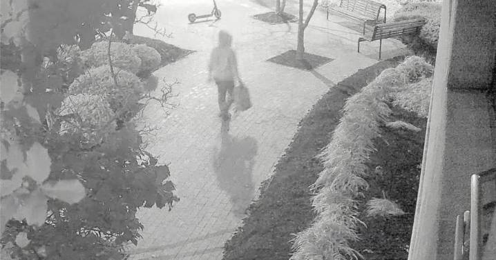 FBI Arrested Brian Cole As the D.C. Pipe