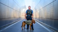 Maywood police K-9 Phoenyx featured in 2026 national calendar