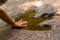 Huellas de dinosaurios en Puebla: confirman rastros de herbívoros, carnívoros y posibles voladores de 120 millones de años