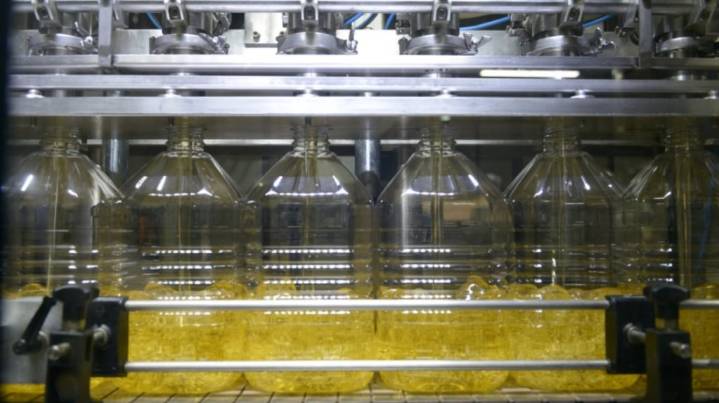 El girasol marca otro salto y la molienda registra su mayor ritmo en una década