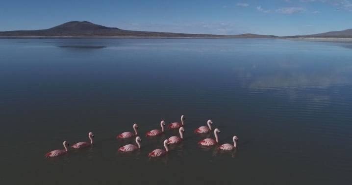 Con laguna y vista infinita: el lugar argentino poco conocido que fue declarado “sitio Ramsar”