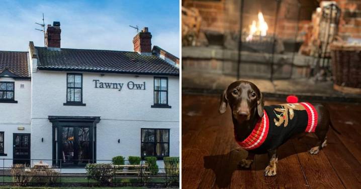 The Tawny Owl, Darlington to host Christmas dog show