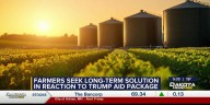 Farmers seek long-term solution in reaction to Trump's aid package.