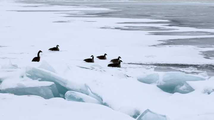 When do the Great Lakes freeze? Here's how much ice is on the lakes now