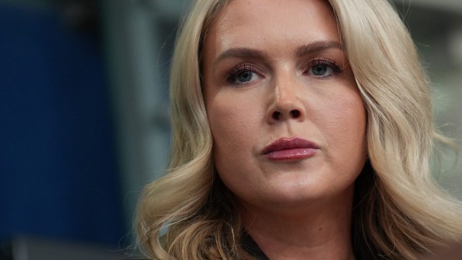 Judge orders release of mother of Karoline Leavitt’s nephew