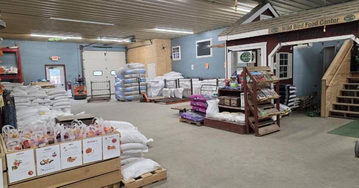 Simmental Beef Farmer Relishes Being His Own Boss