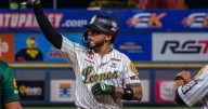 LVBP: Harold Castro desmiente rumor de cambio de Leones