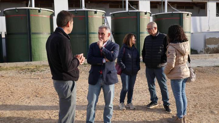El Consell donarà 9 milions en ajudes al sector ramader per a evitar el brot de pesta porcina en les granges