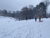 Dozens flock to Richmond's Forest Hill Park for sledding