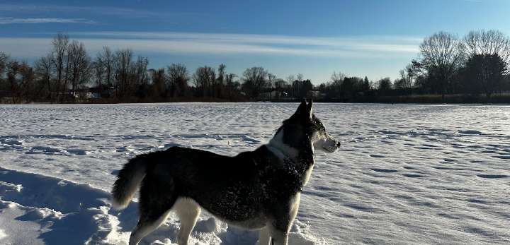 Arctic blast to send temperatures plunging Monday after mild weekend