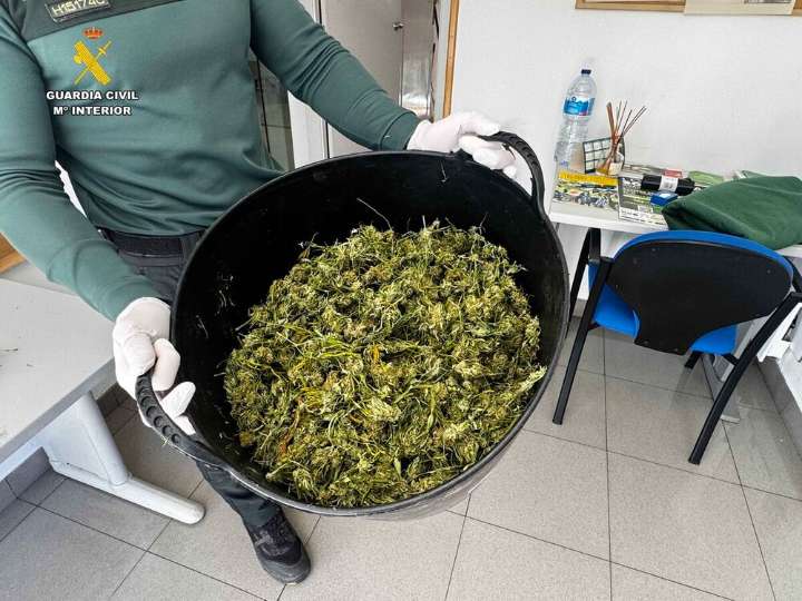 Investigado un hombre por tener una plantación de marihuana