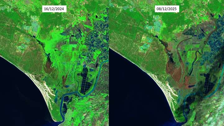 Las Marismas de Doñana presentan mayor inundación que en 2024 aunque registra menos precipitaciones