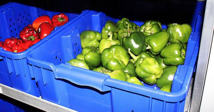 Carle's Mobile Market provides healthy eating options for Vermilion County