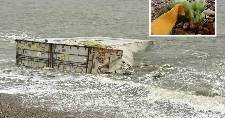 Crates of bananas wash ashore after falling from cargo ship near Isle of Wight 