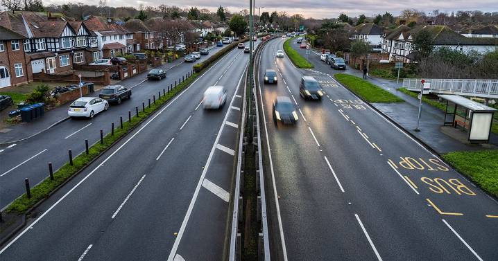 'Change UK driving law on pets' update as government responds