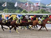 Jornada de gala cerrará el 2025