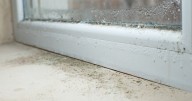 1 kitchen essential can eliminate condensation from windows this December