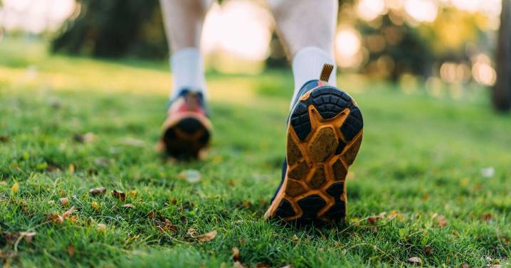 Anyone with a lawn urged 'don’t walk on it’ in December