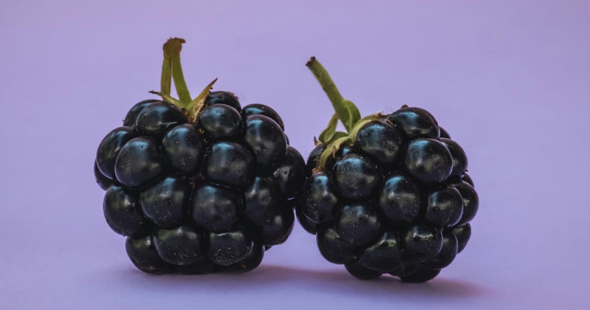 Soñar con zarzamoras no es tan dulce: el significado oculto que podría advertirte de una traición