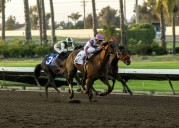 Los Alamitos stakes upset leaves 3 tied for jockey title