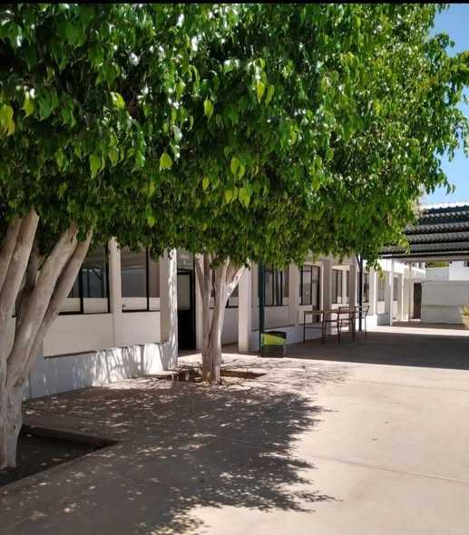 Estudiante de secundaria es apuñalada durante honores a la bandera en Empalme, Sonora