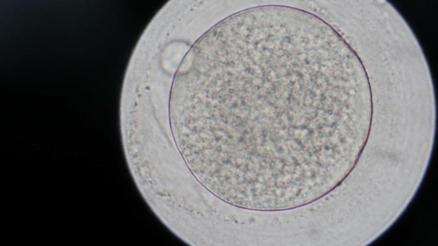 Diez niños de un donante de esperma portador de un gen cancerígeno nacieron en España: 197 en toda Europa